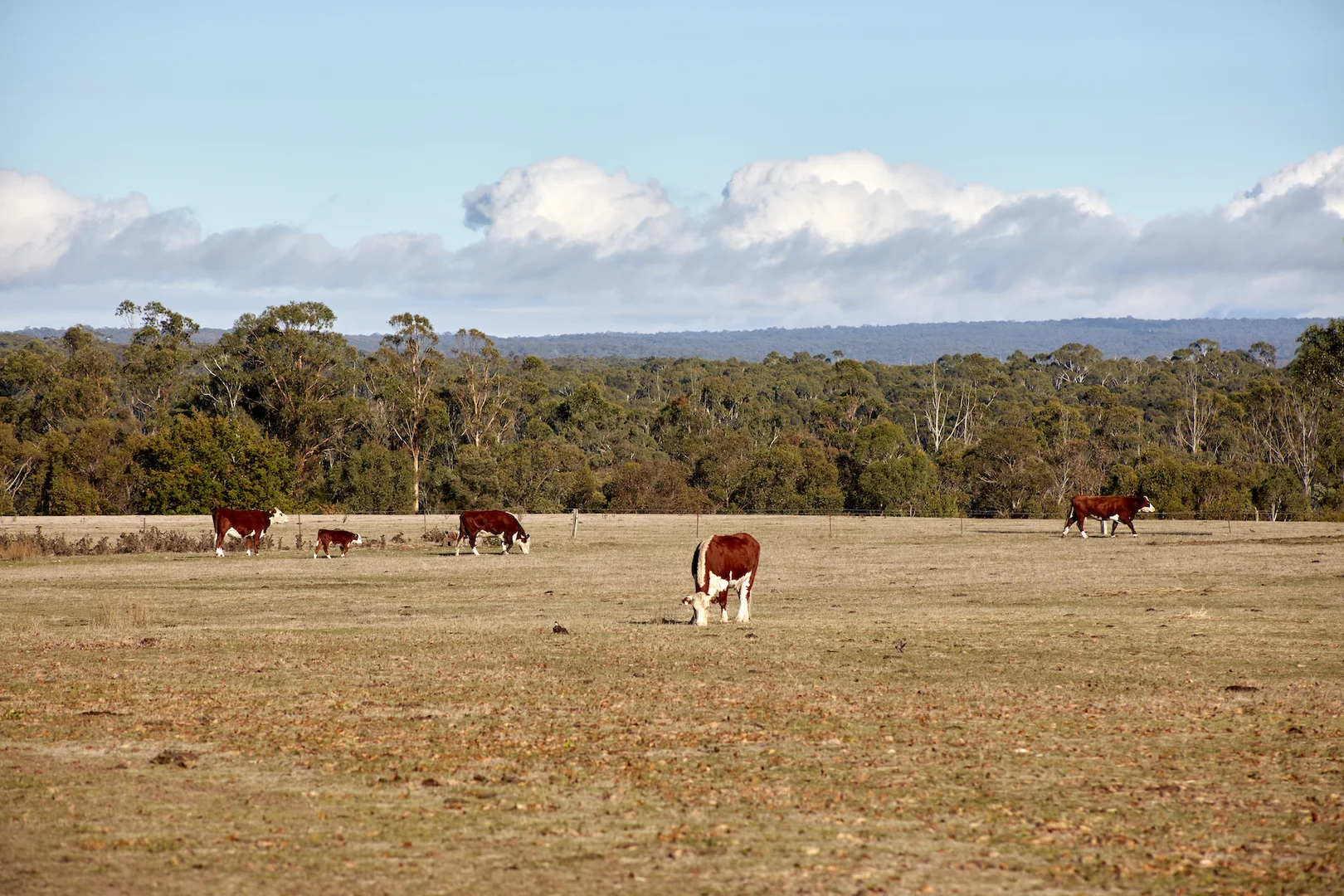 Additional image 6 of 65 Lawson Road, Gisborne VIC 3437