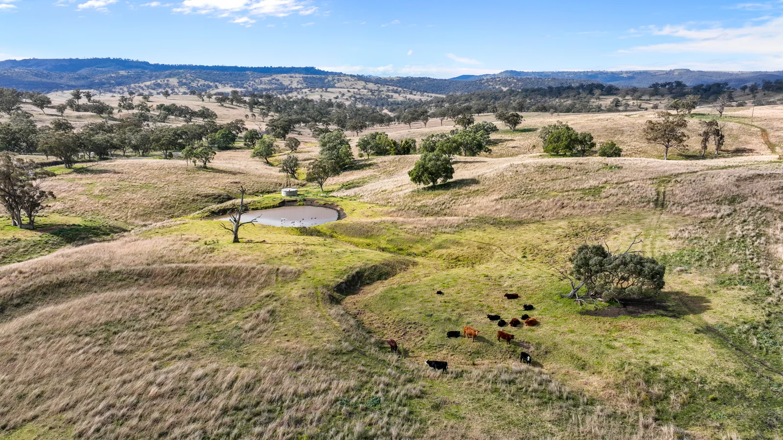 Additional image 9 of 2741 Bunnan Road, Bunnan NSW 2337