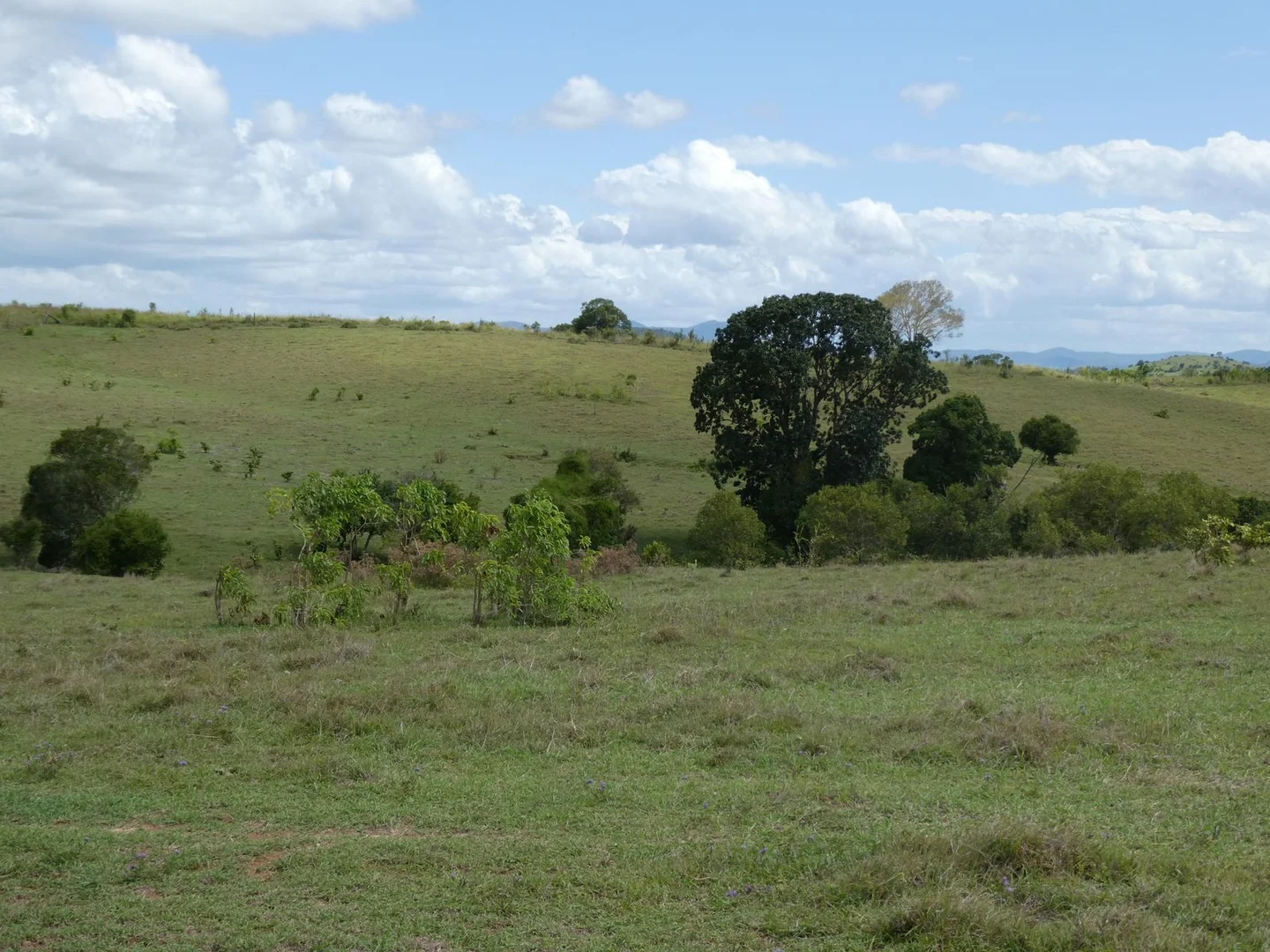 Additional image 12 of Lot 1 North Dallarnil Road, Dallarnil QLD 4621