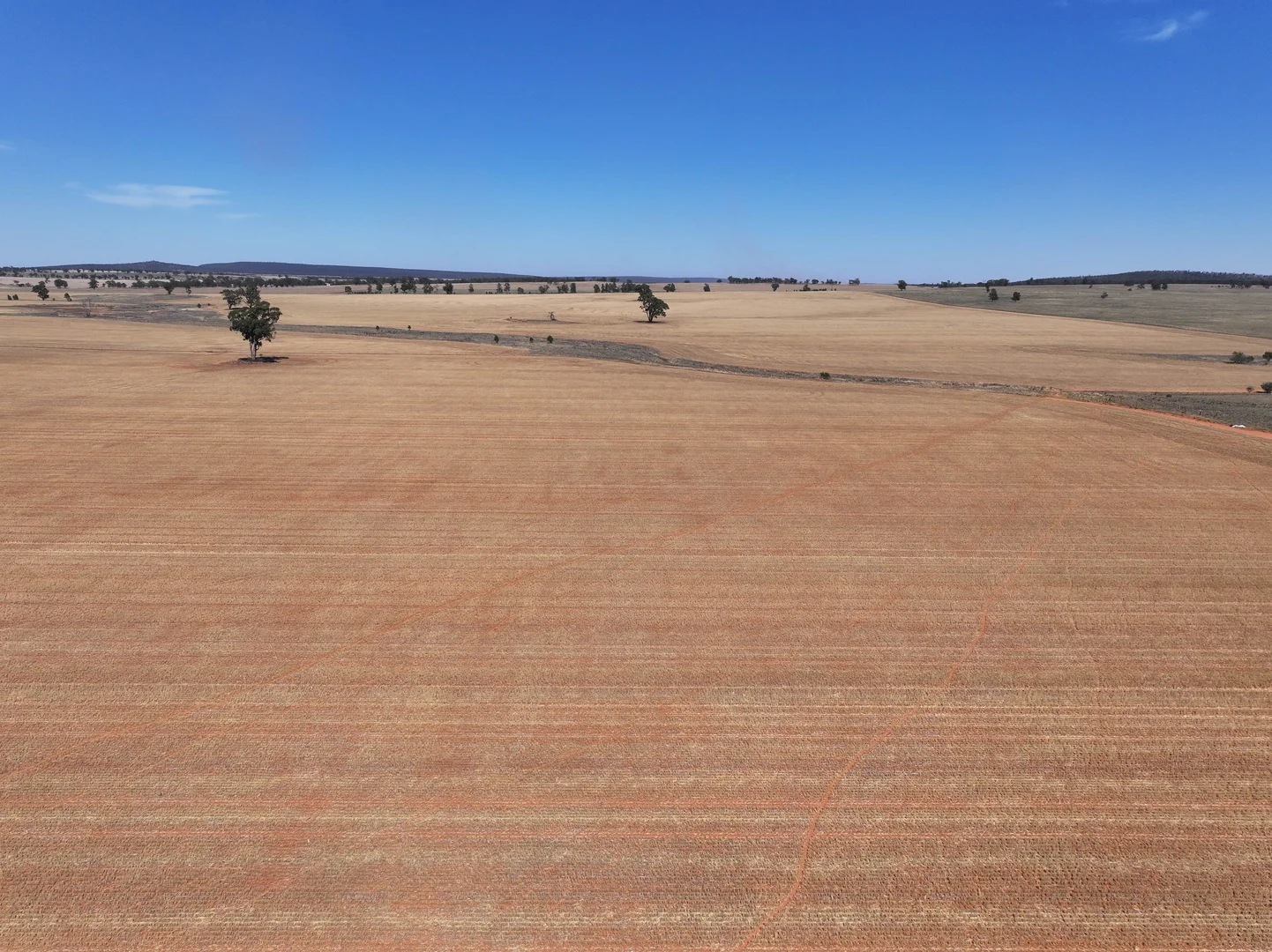 Additional image 11 of 'Nolens'  5000 Barellan Road, Colinroobie NSW 2700