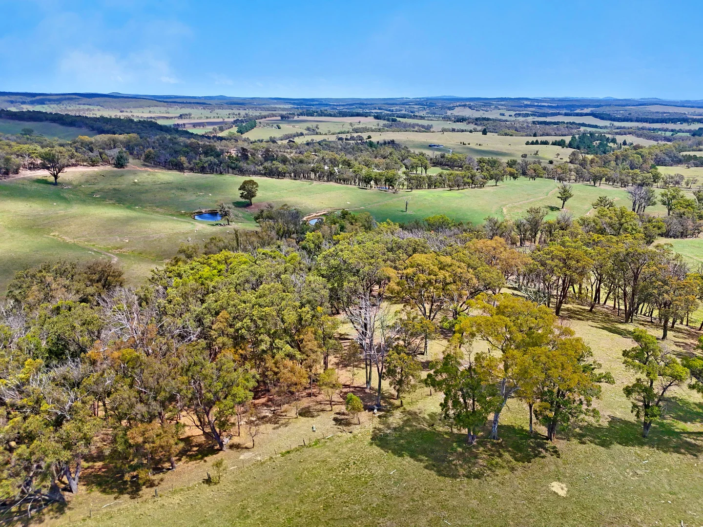 Additional image 5 of 1777 Canyonleigh Road, Canyonleigh NSW 2577