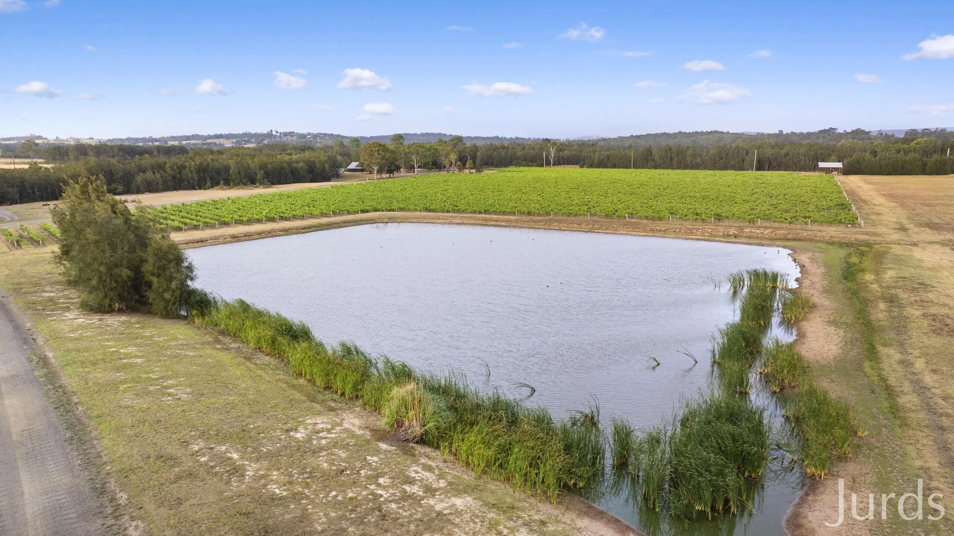 Additional image 4 of 223 Deasys Road, Pokolbin NSW 2320