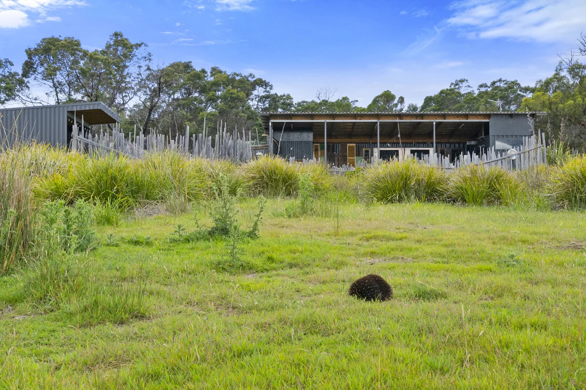 Additional image 28 of 961 Coles Bay Road, Coles Bay TAS 7215