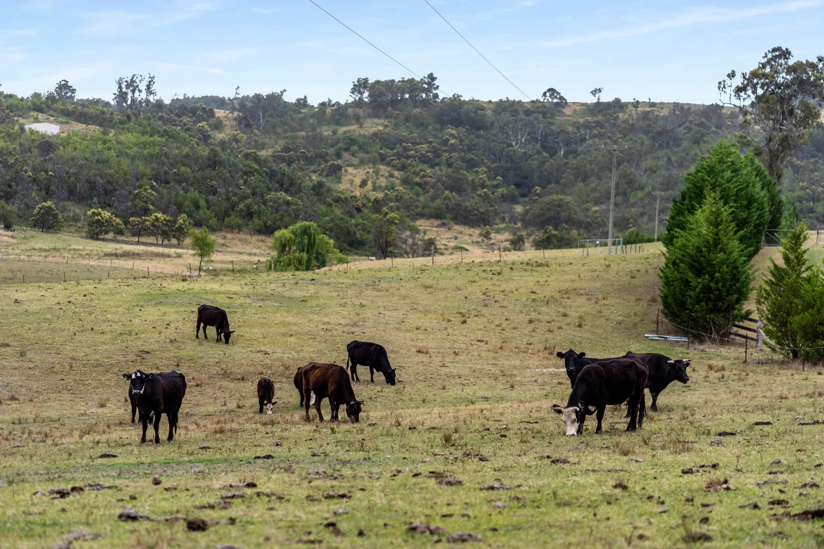 Additional image 26 of 185 Pulpit Rock Road, Bullio NSW 2575