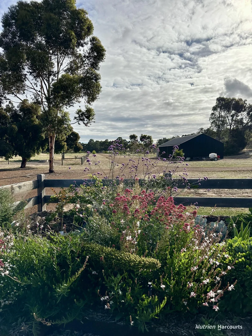 Additional image 29 of Lot 2 Old Ford Road, Dalyup WA 6450