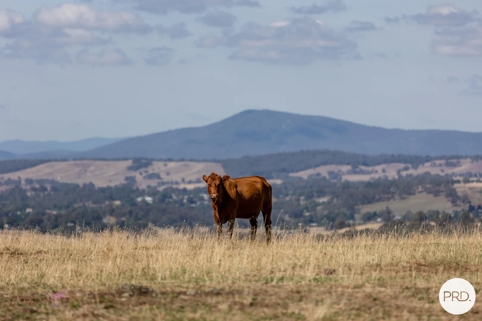 Additional image 33 of 1100 Batlow Road, Tumbarumba NSW 2653