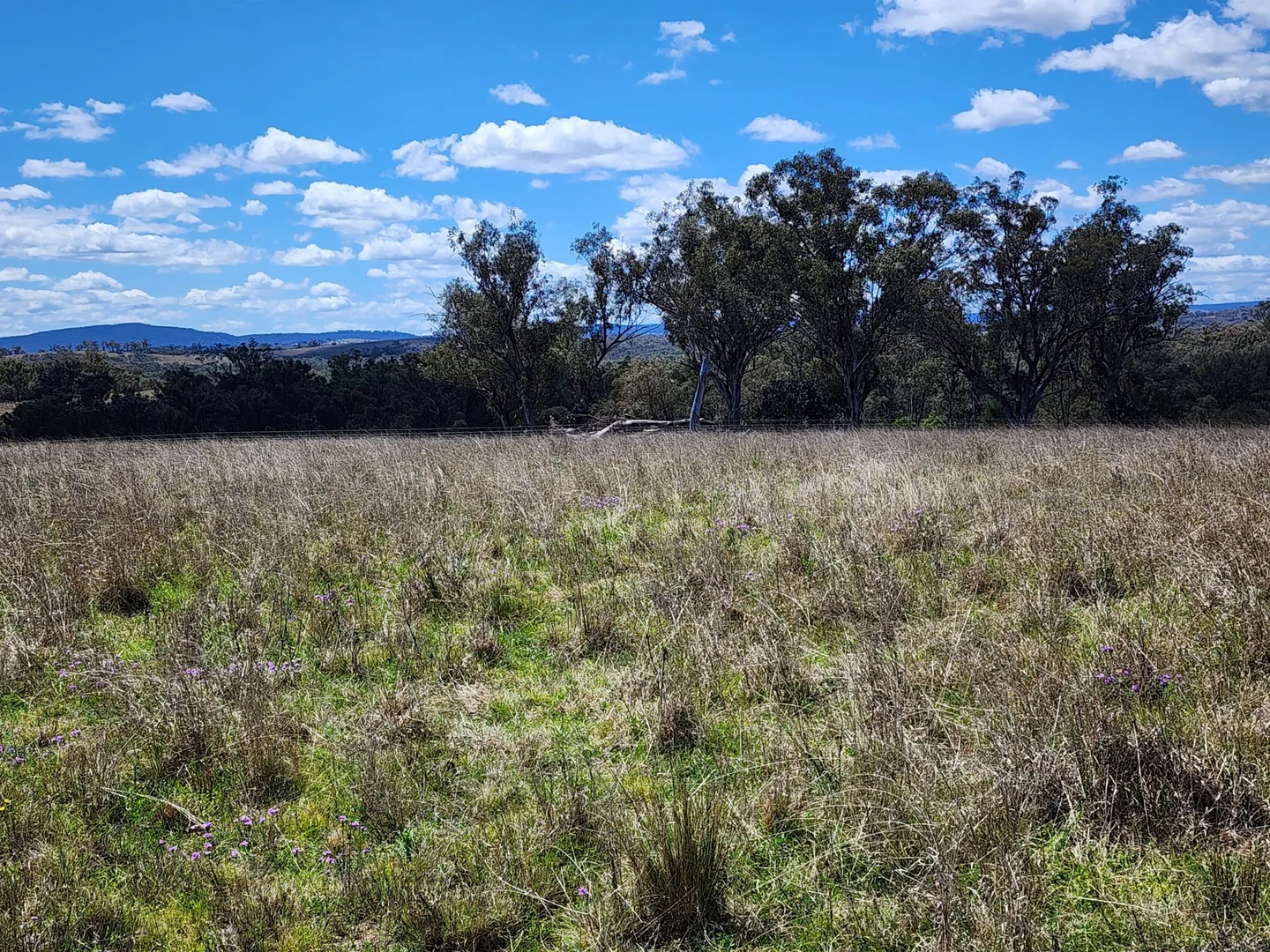 Additional image 3 of Lot 11 Pikedale Lane, Stanthorpe QLD 4380