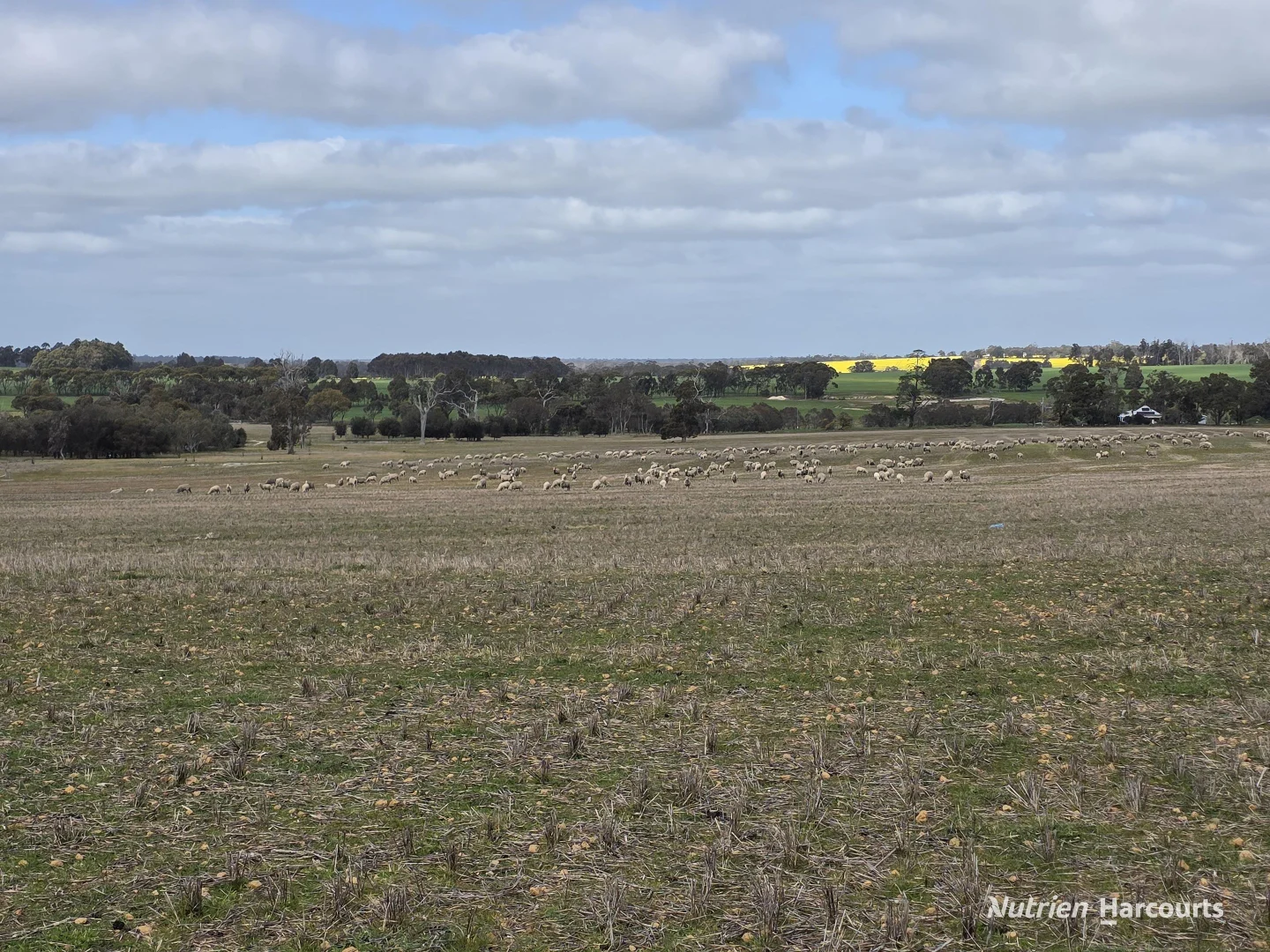 Additional image 31 of Lot 347 Yarralena Road, Cranbrook WA 6321