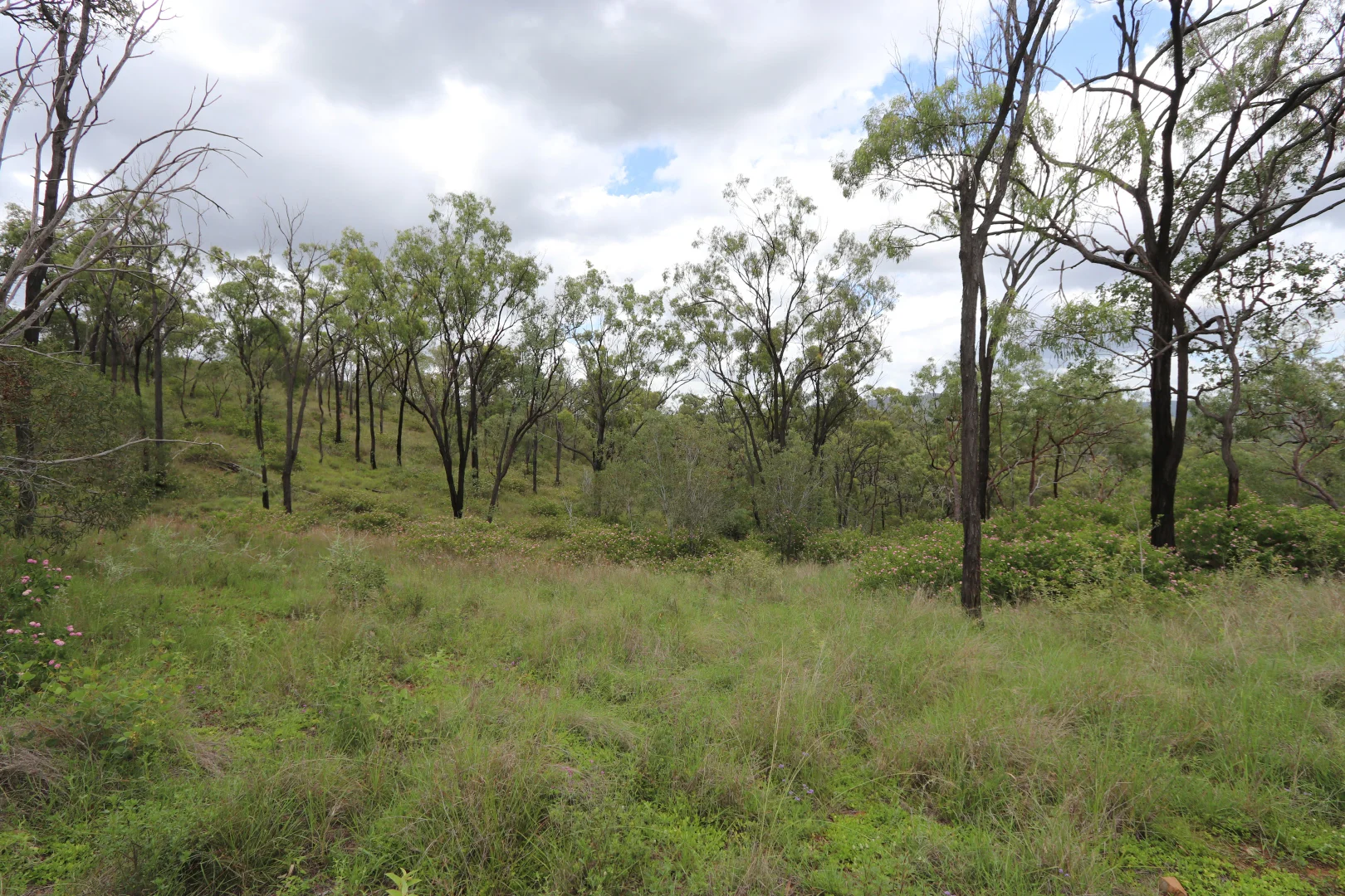 Additional image 19 of 890 Boulder Creek Rd, Boulder Creek QLD 4714