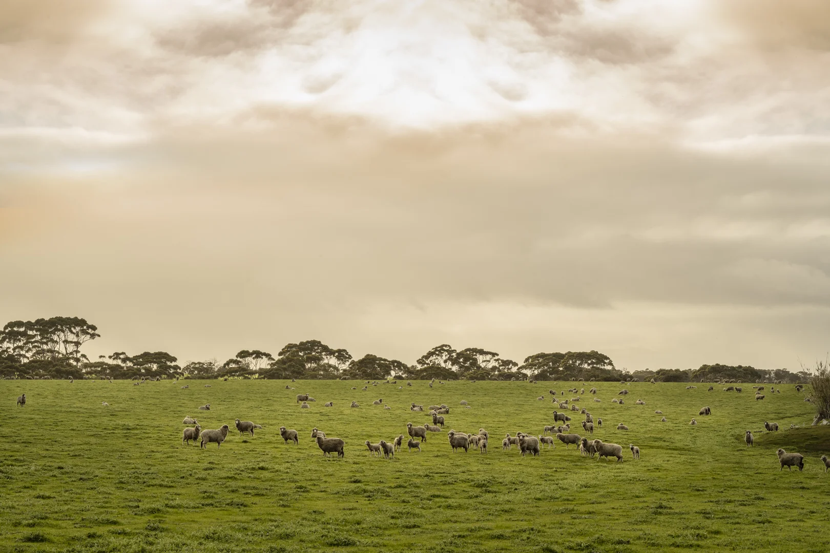 Additional image 17 of 490 East West Two Highway, Seddon SA 5223