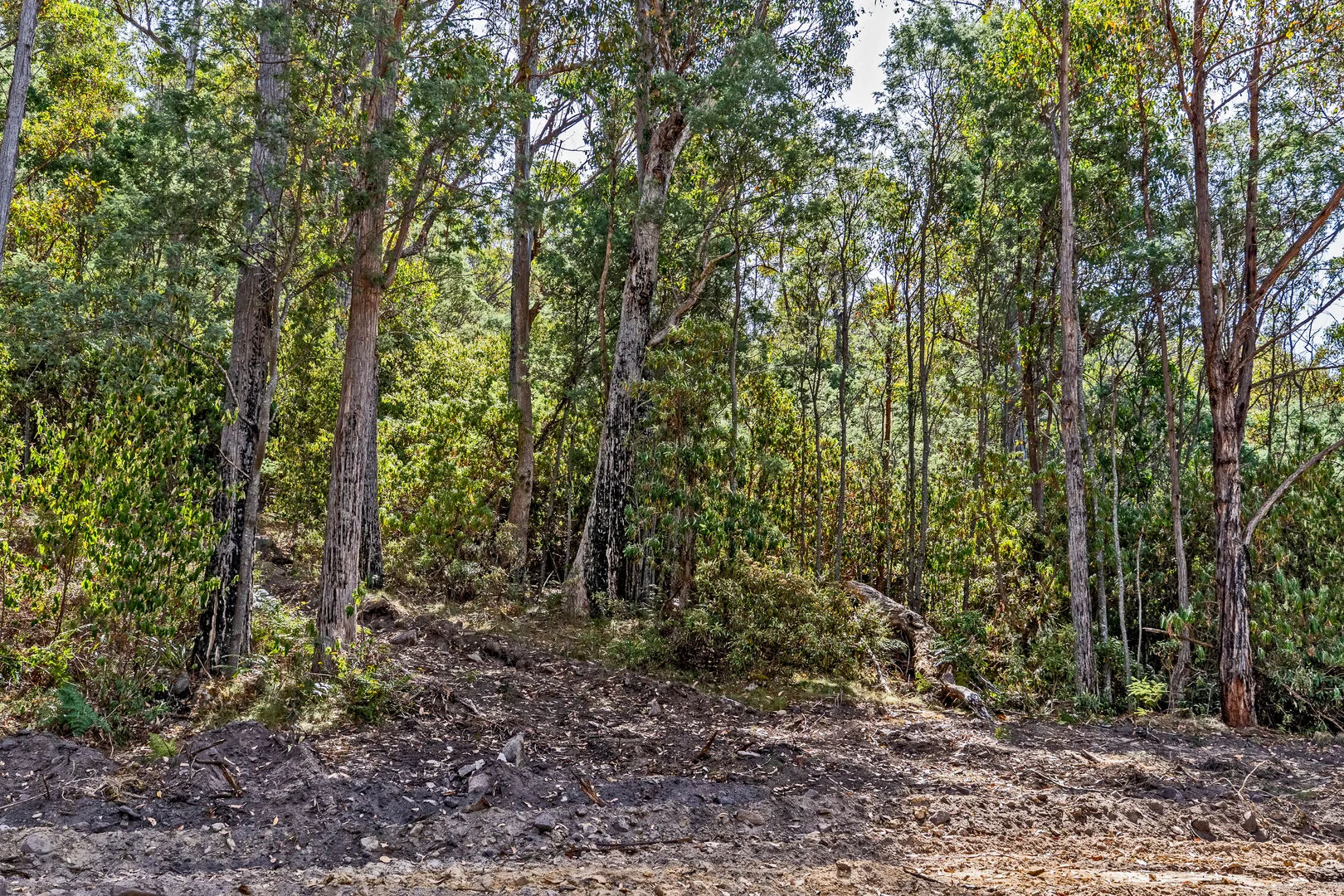 Additional image 26 of 1 Douglas Road, Molesworth TAS 7140