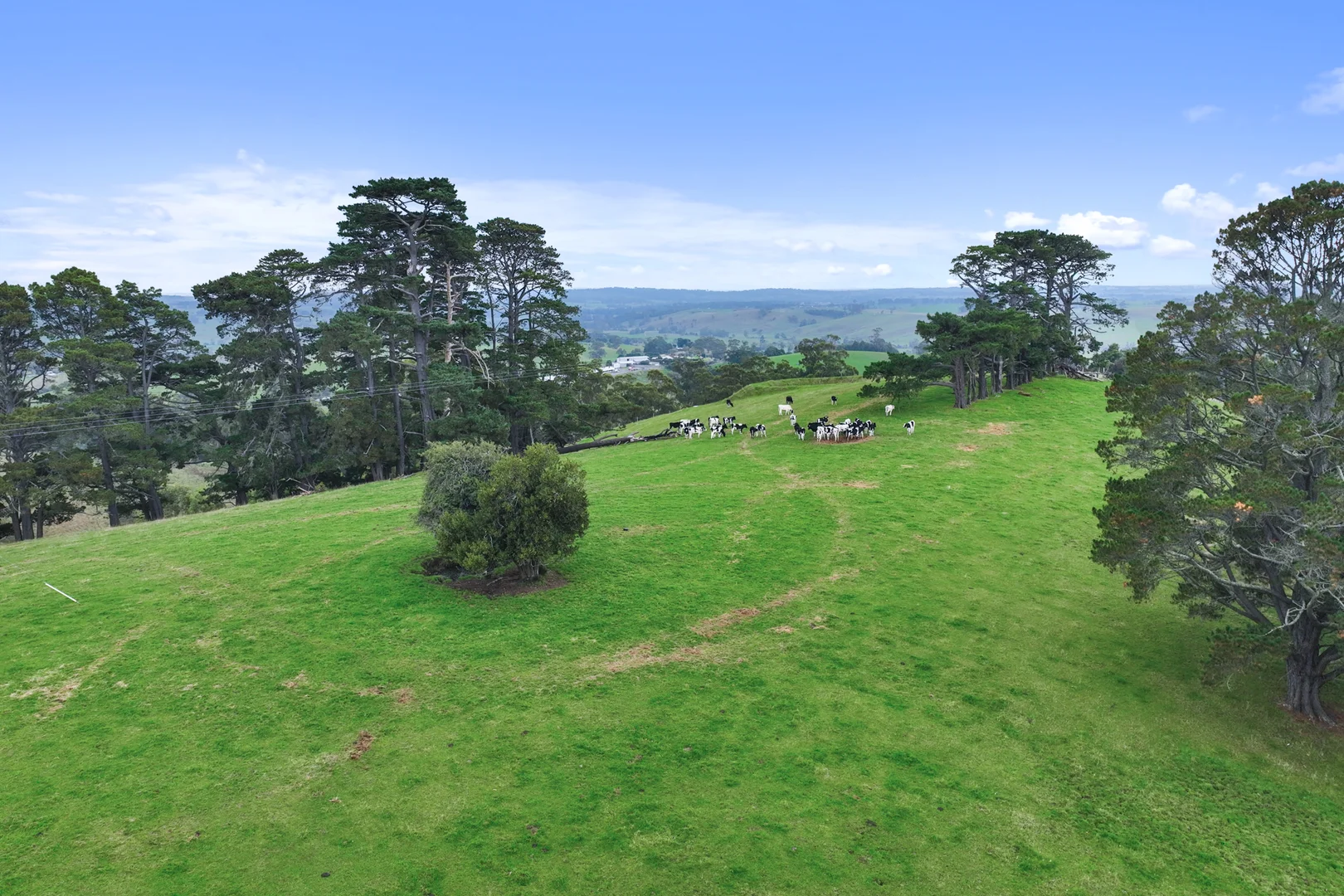 Additional image 2 of Lot 1-3 Mountain View-McDonalds Track, Mountain View VIC 3988