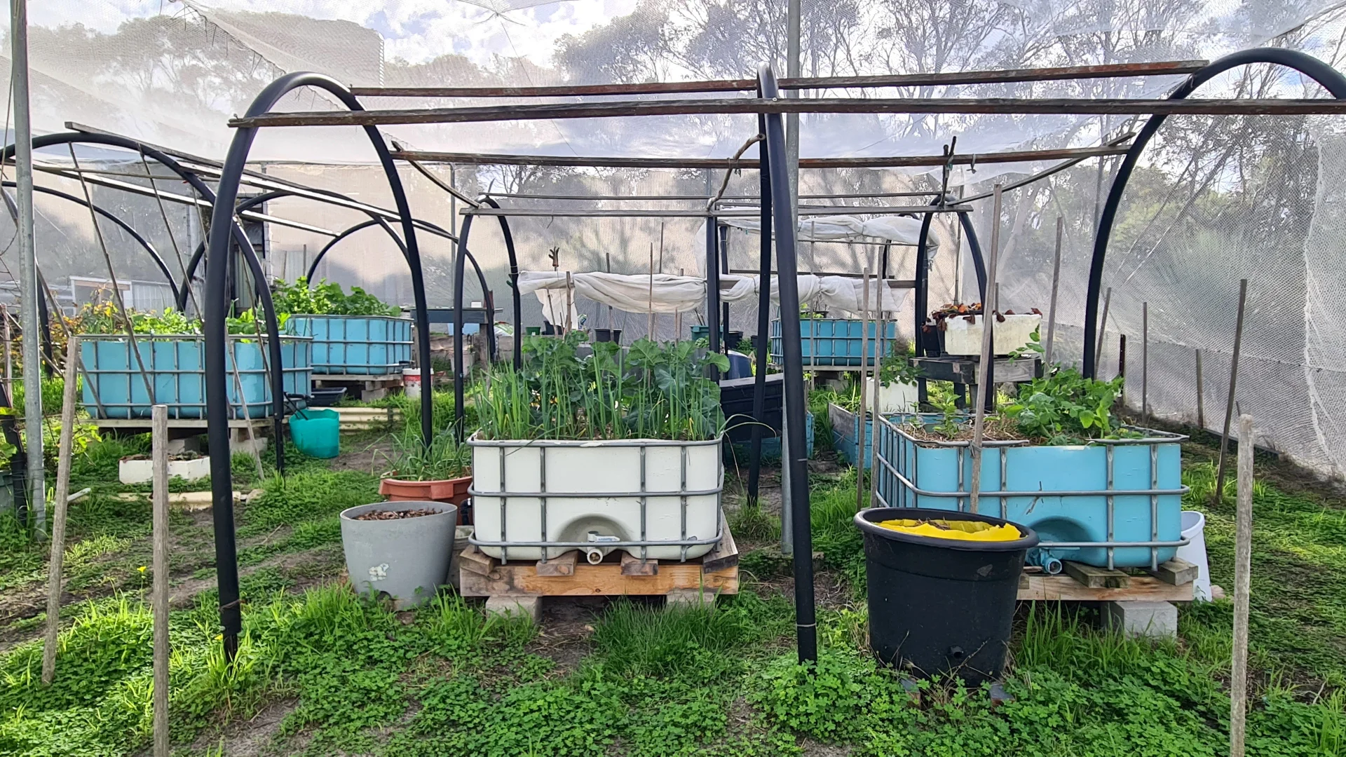 Additional image 21 of 183 Seal Bay Road, Seal Bay SA 5223