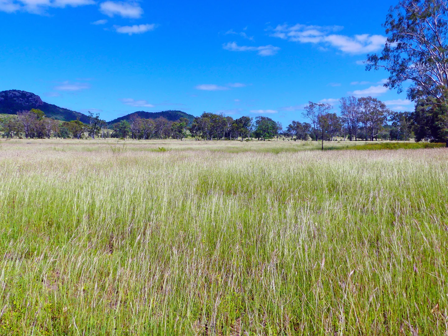 Additional image 7 of "Jacques " 0 Cunningham Road,, Nine Mile QLD 4702