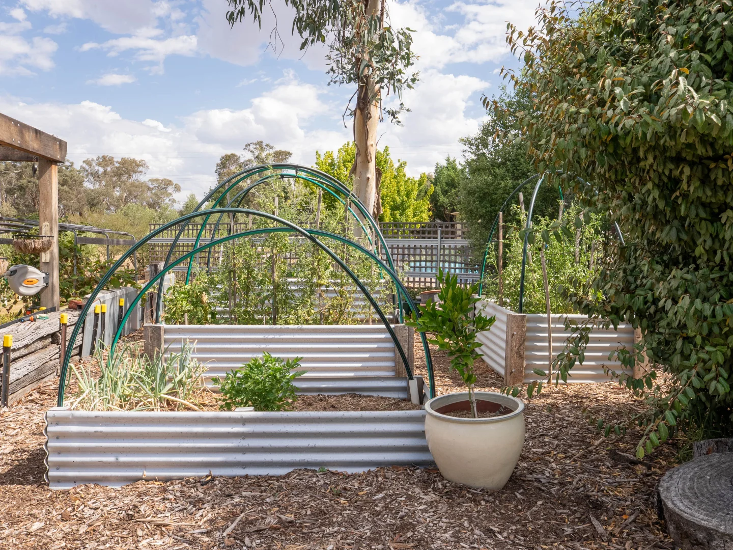 Additional image 34 of 10 Wingeretta Close, Forest Grove NSW 2795