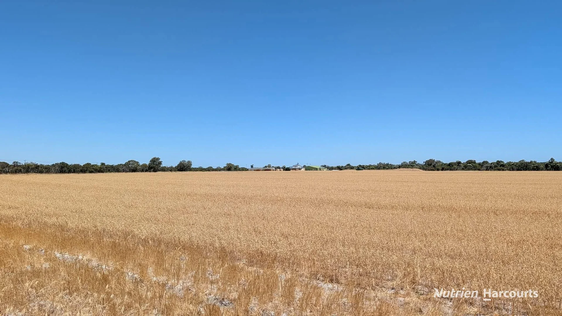 Additional image 20 of 2373 Cowalla Road, Cowalla WA 6503