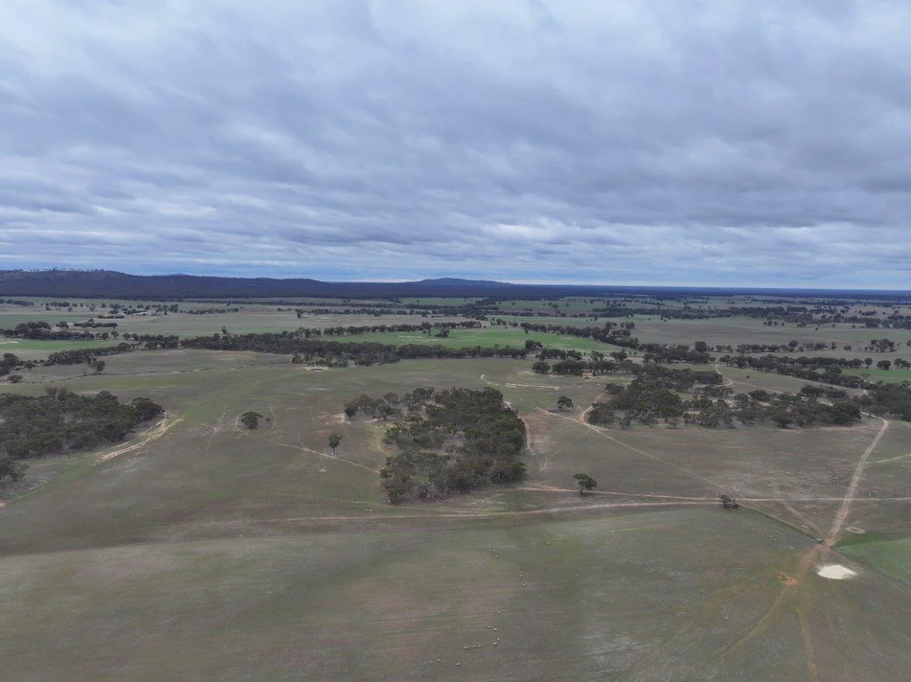 Additional image 3 of Lot 1 Rheola - Llanelly Road, Murphys Creek VIC 3551