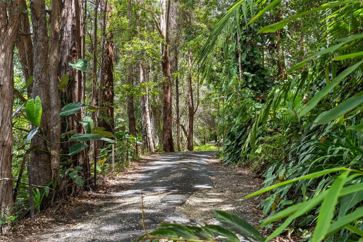 Additional image 27 of 109 Motts Road, Upper Main Arm NSW 2482