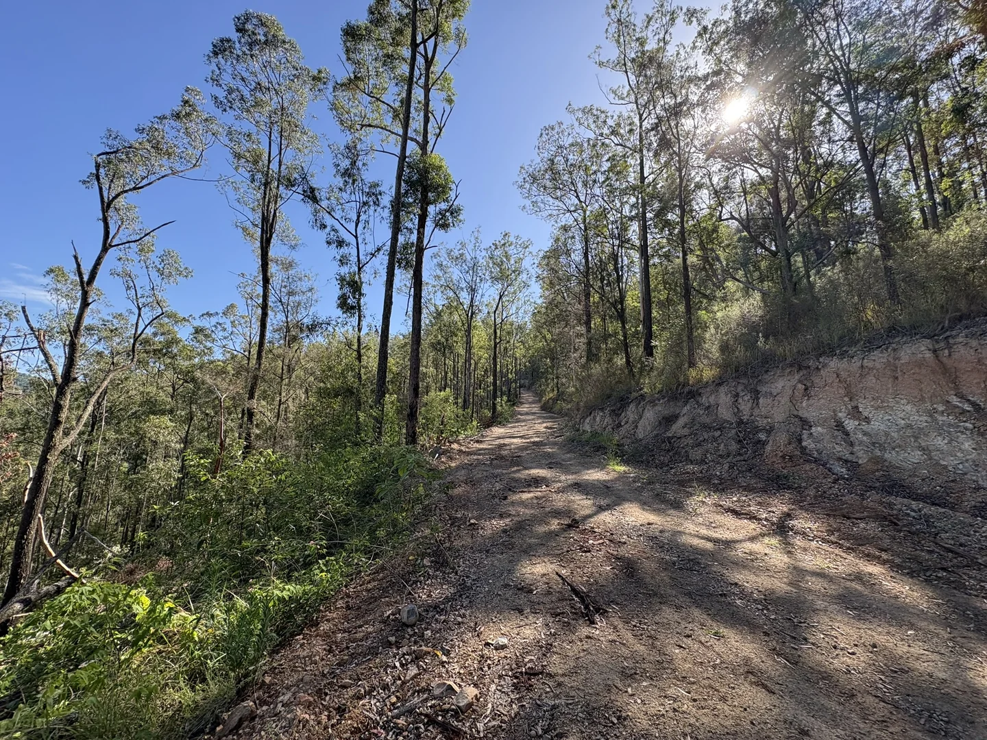 Additional image 17 of 211, 212 Robinson Road, Marlee NSW 2429