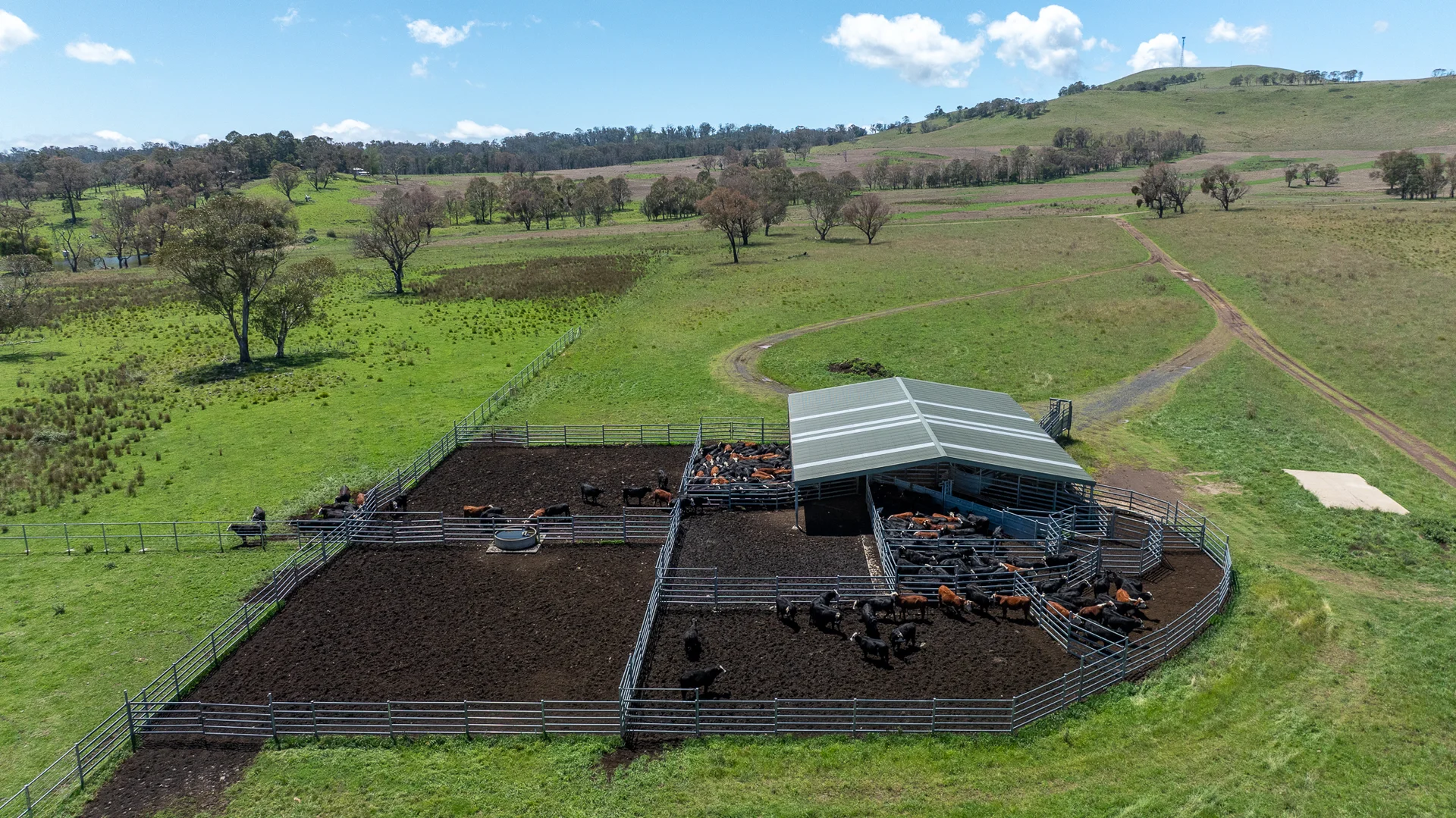 Additional image 23 of 1763 Wongwibinda Road, Armidale NSW 2350