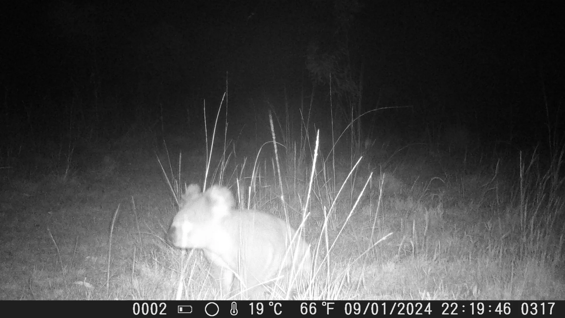 Additional image 15 of 1447 Gresford Road, Vacy NSW 2421