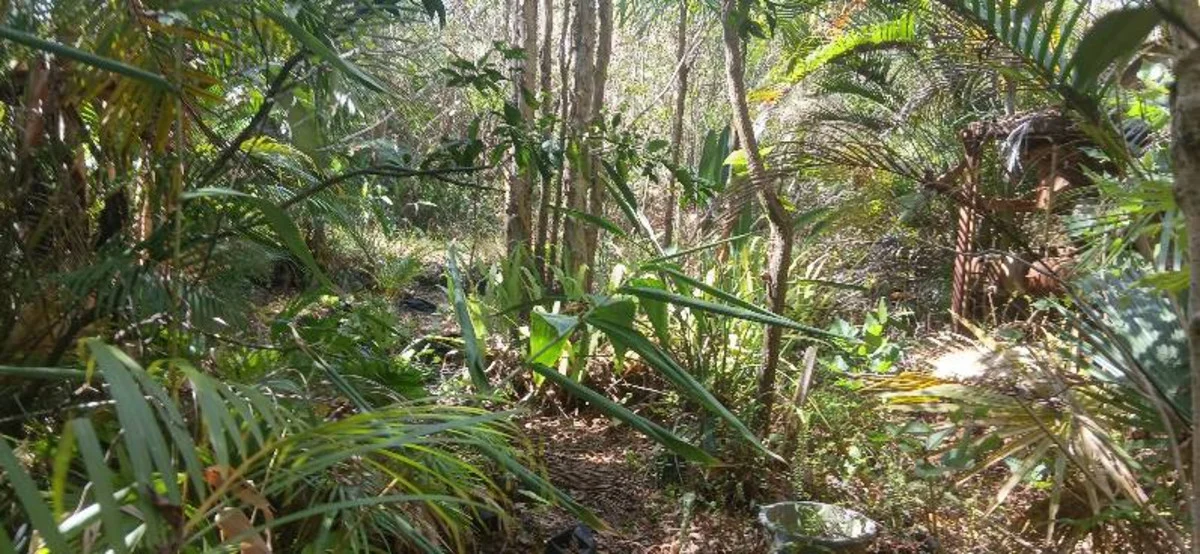 Additional image 11 of 1 Top End Mines Road, Torbanlea QLD 4662