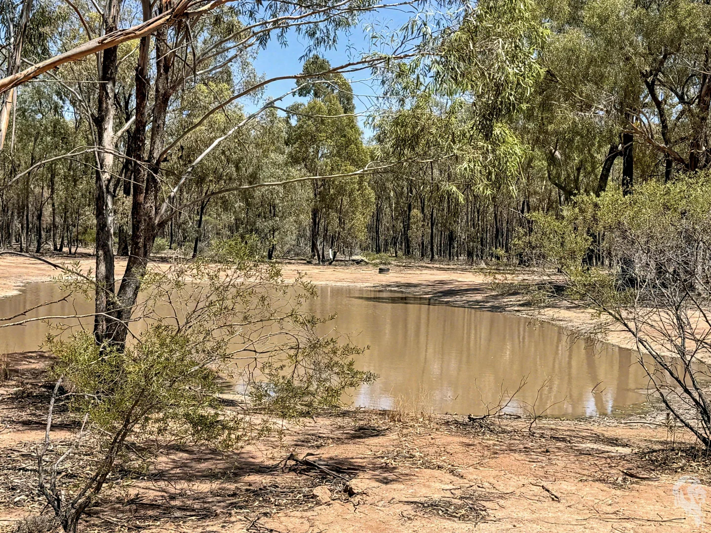 Additional image 4 of 548 Farr Park Road, Wee Waa NSW 2388