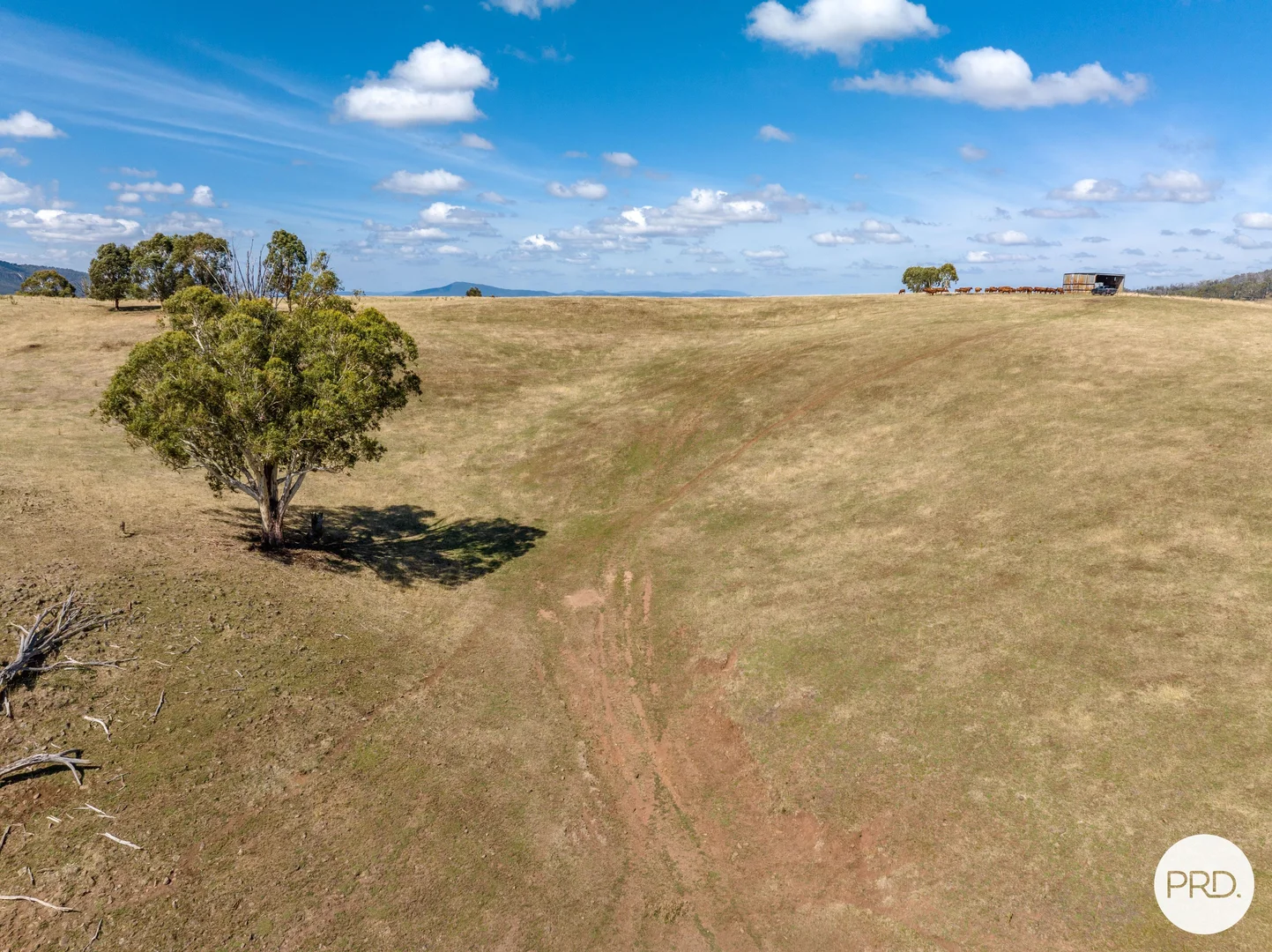 Additional image 52 of 1100 Batlow Road, Tumbarumba NSW 2653
