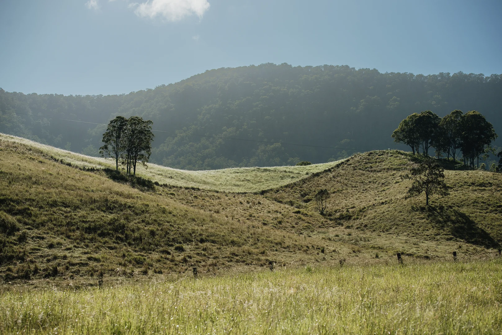 Additional image 15 of Lynches Creek Road, Wiangaree NSW 2474