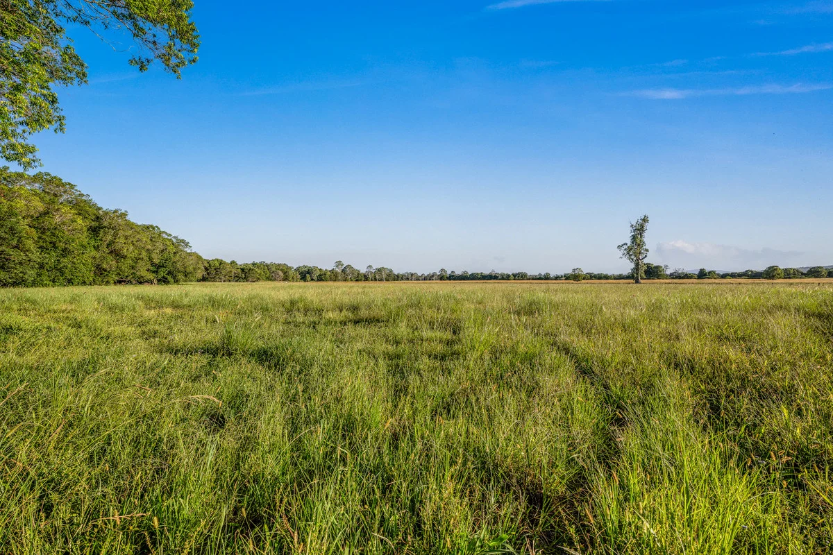 Additional image 28 of 81 Heath Road, Stanmore QLD 4514