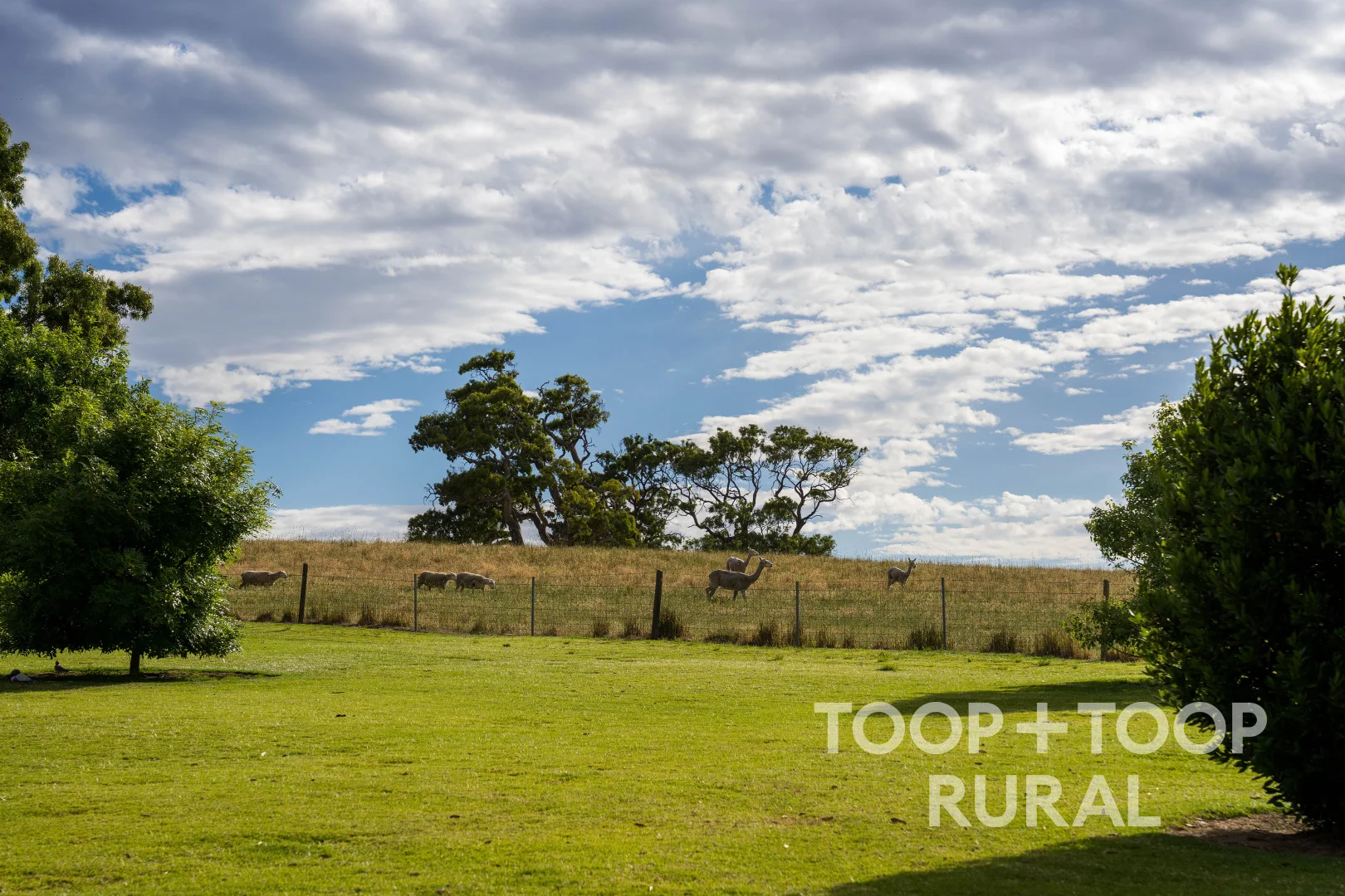 Additional image 18 of 70 Scottsburn Road, Woodside SA 5244