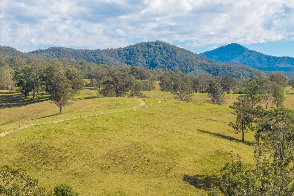 LOT 1 of 449 Hickeys Creek Road, Millbank NSW 2440
