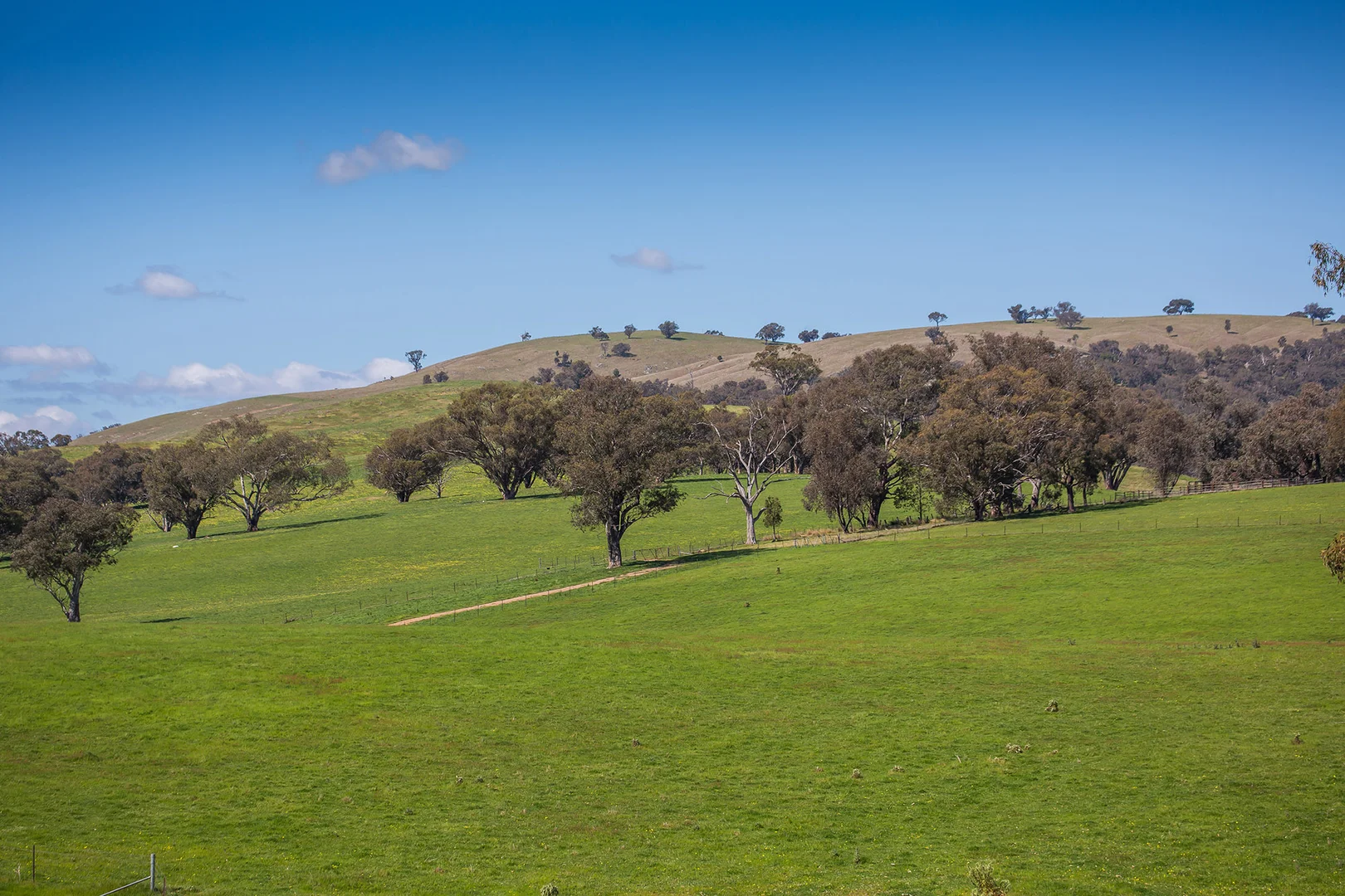 Additional image 14 of Holbrook NSW 2644