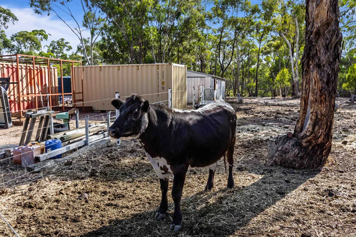 Additional image 26 of 28 Svensen Road, Majorca VIC 3465