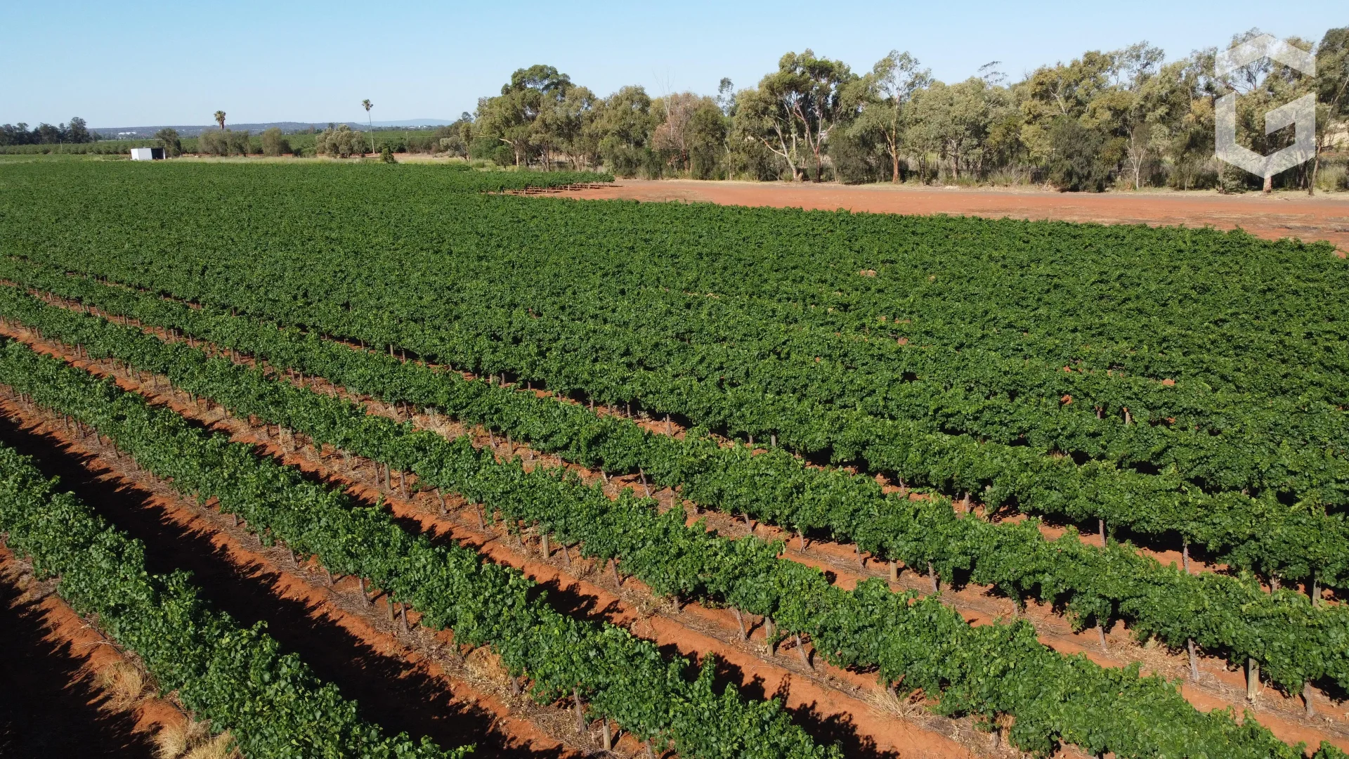 Additional image 7 of . Mansell Road, Hanwood NSW 2680