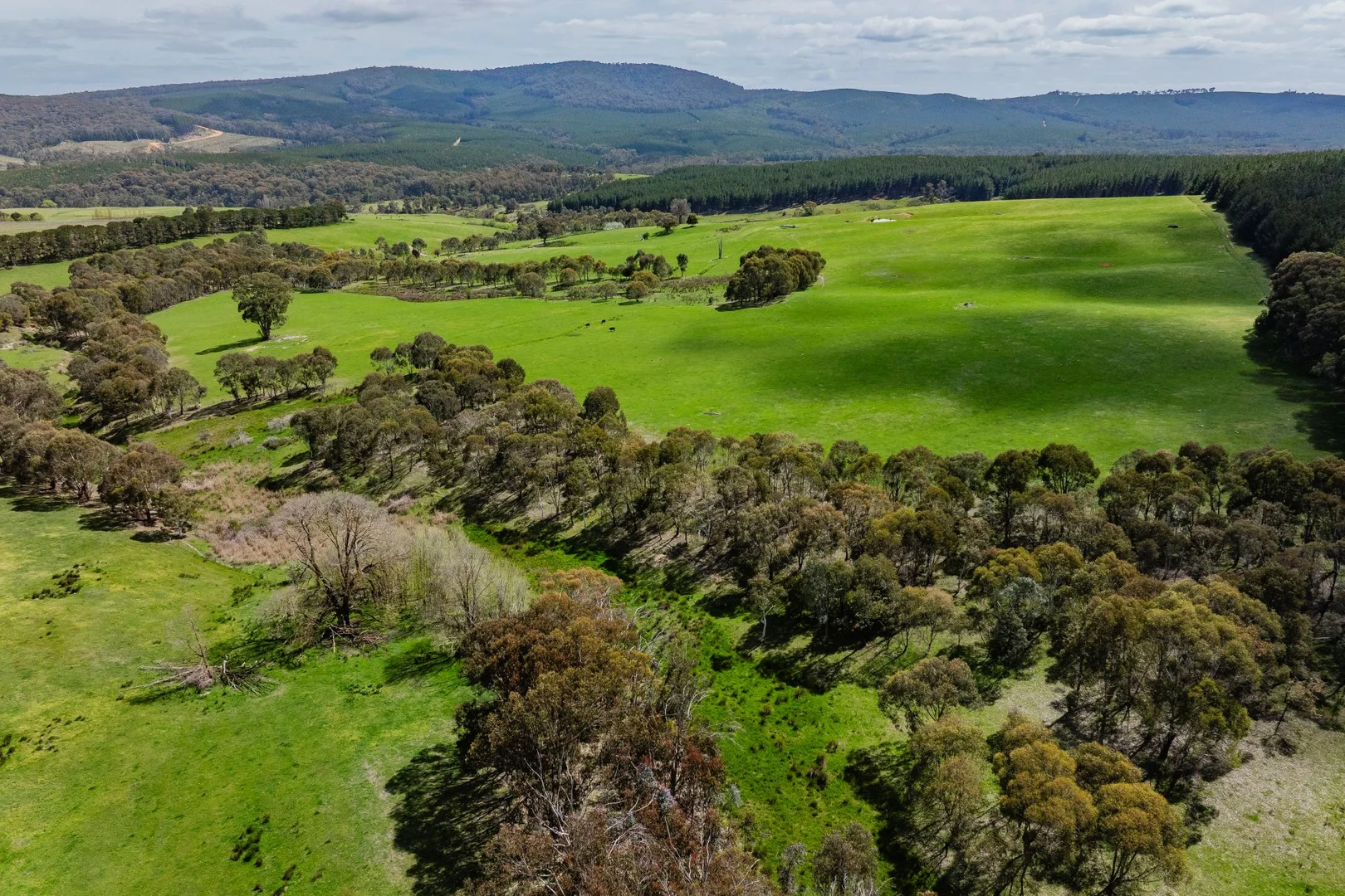 Additional image 6 of 2026 Jingellic Road, Tumbarumba NSW 2653