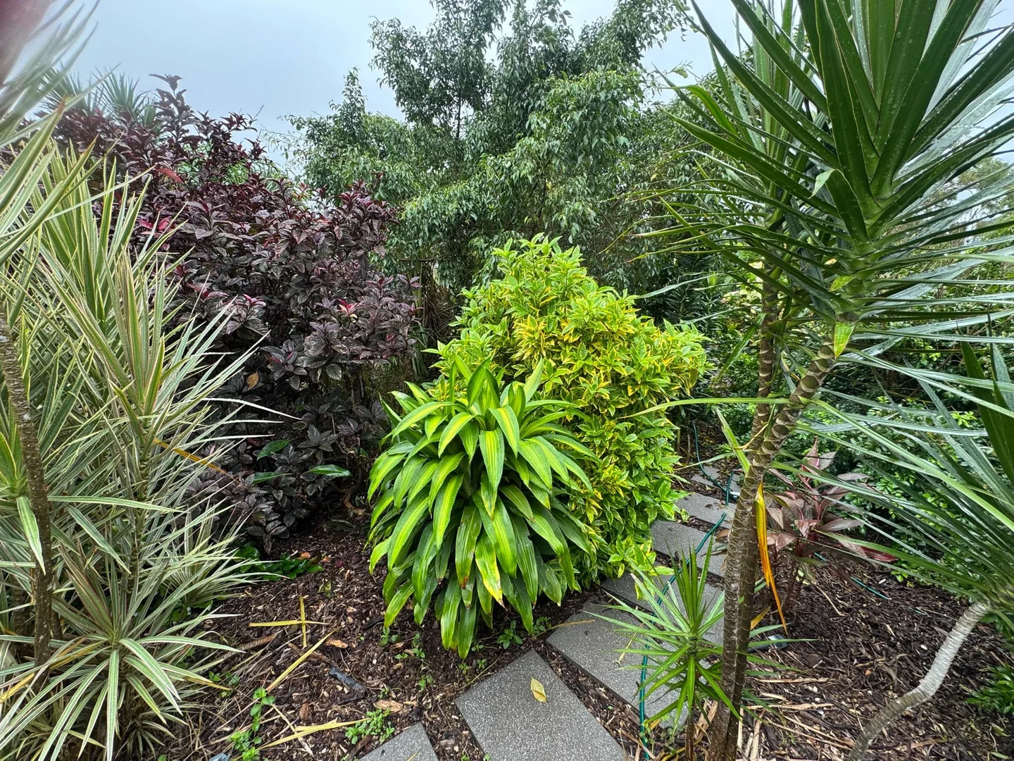 Additional image 24 of 94 Gifford Street, Horseshoe Bay QLD 4819