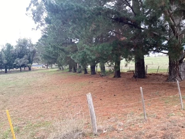 Additional image 12 of 1233 Waubra-Talbot Road, Evansford VIC 3371