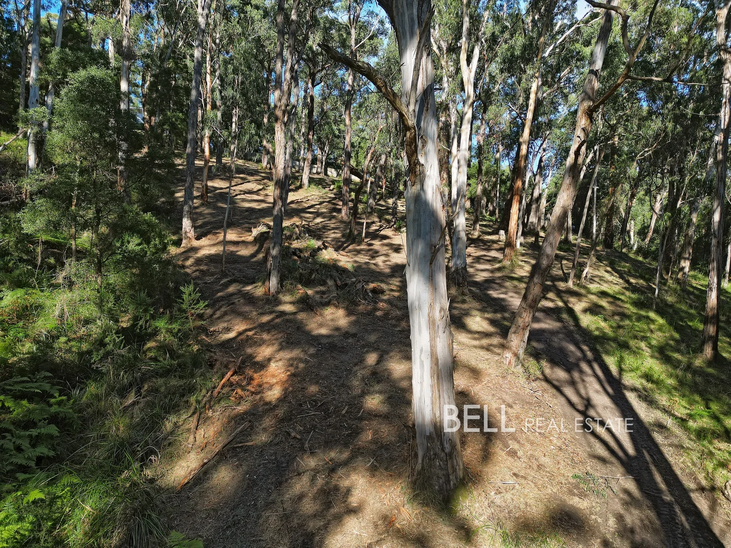 Additional image 5 of 33 Selby Aura Road, Menzies Creek VIC 3159