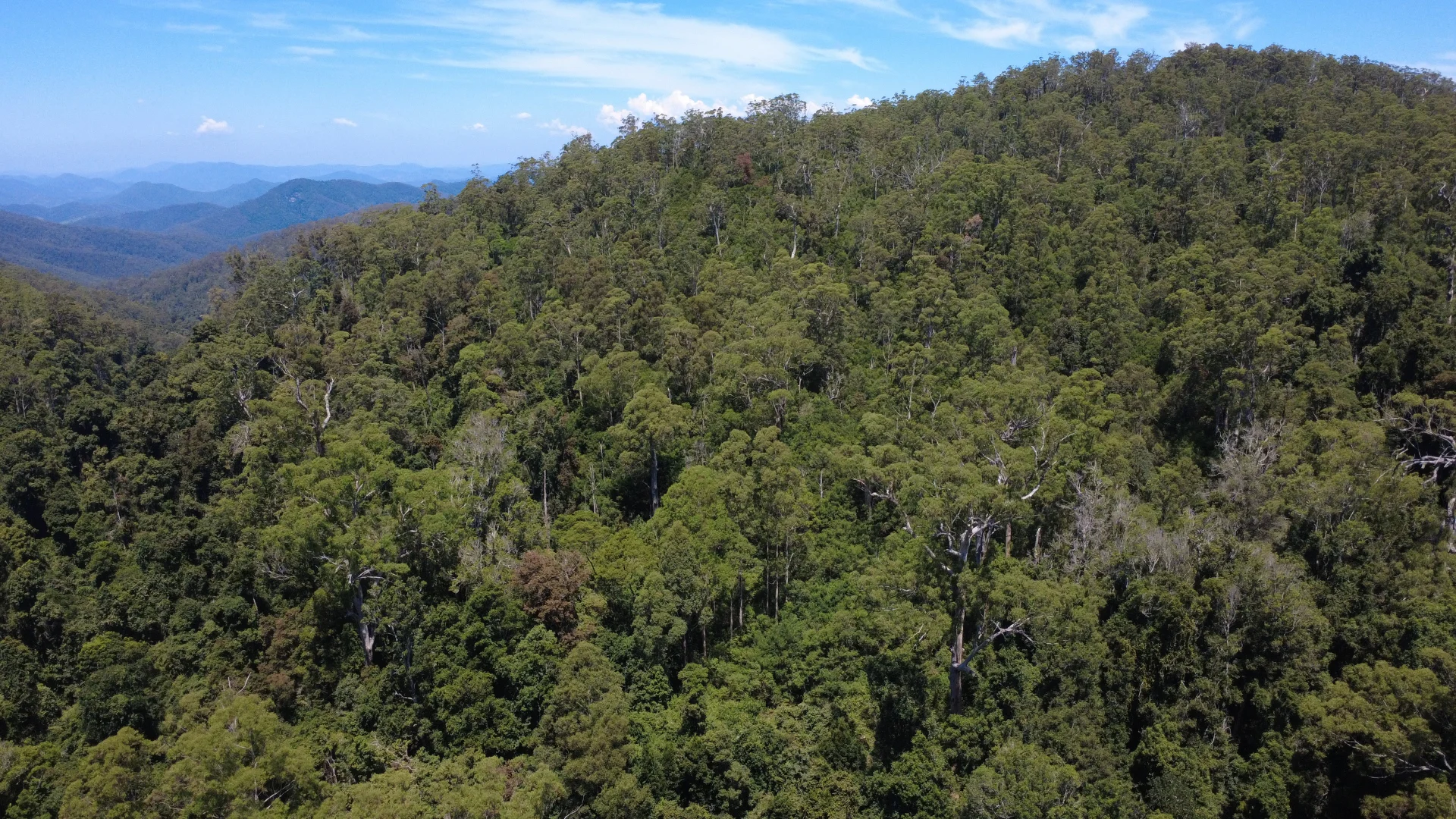 Additional image 12 of Baxters Ridge Road, Gloucester NSW 2422