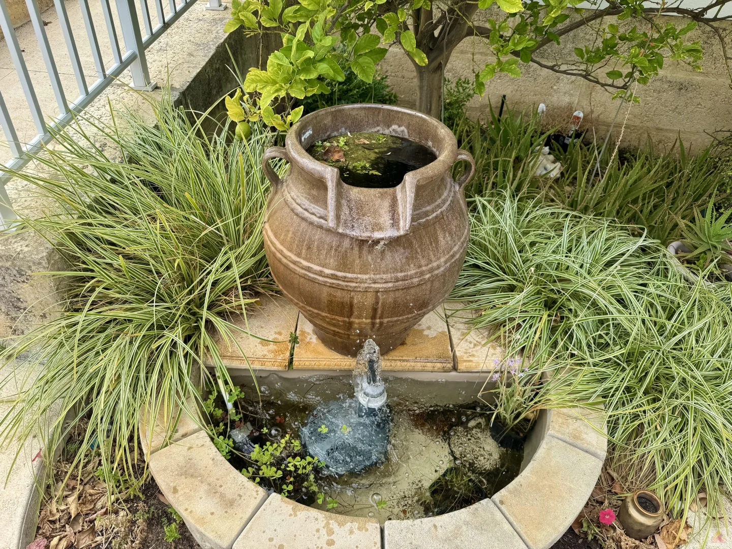 Additional image 6 of 8 Willis Road, Beaconsfield WA 6162