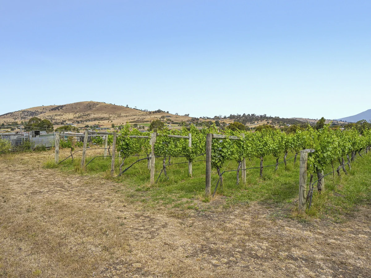 Additional image 17 of 1 & 3/173 Tea Tree Road, Brighton TAS 7030