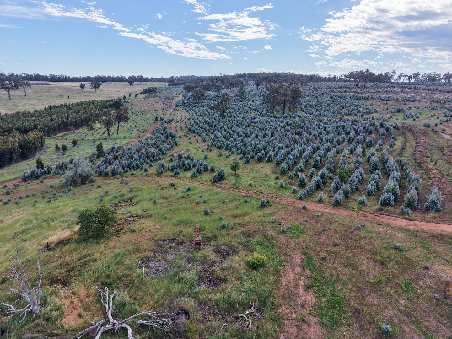 Additional image 19 of Lot 1251 Peninsula Road, Bridgetown WA 6255