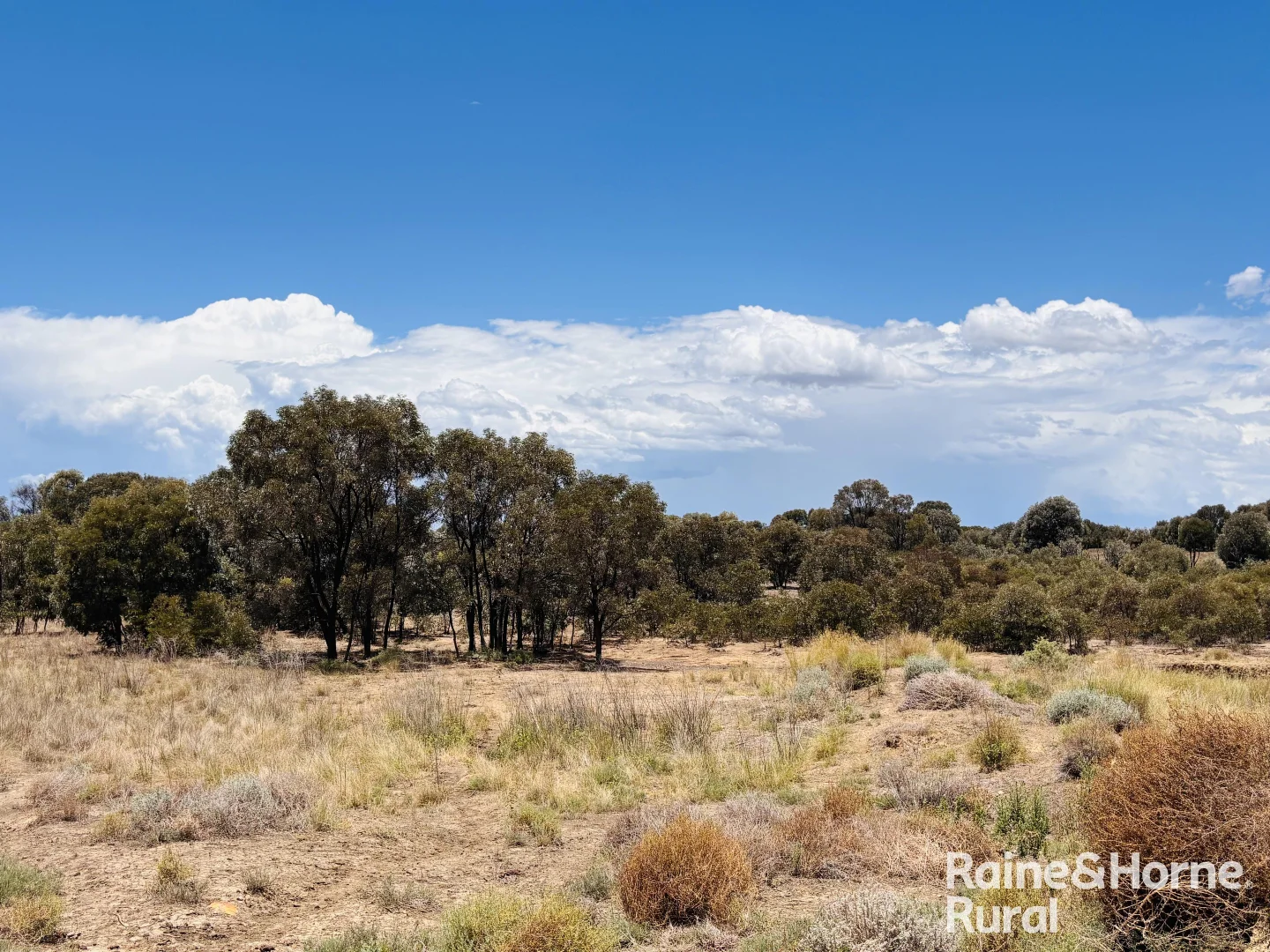 Additional image 7 of 330 Burrow Downs Road, Injune QLD 4454