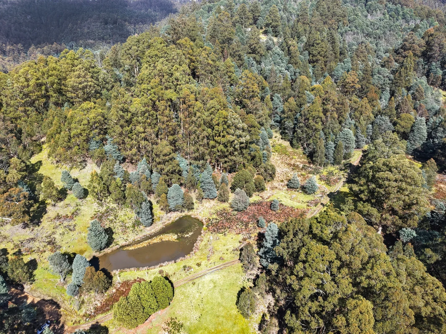 Additional image 12 of Lucaston TAS 7109