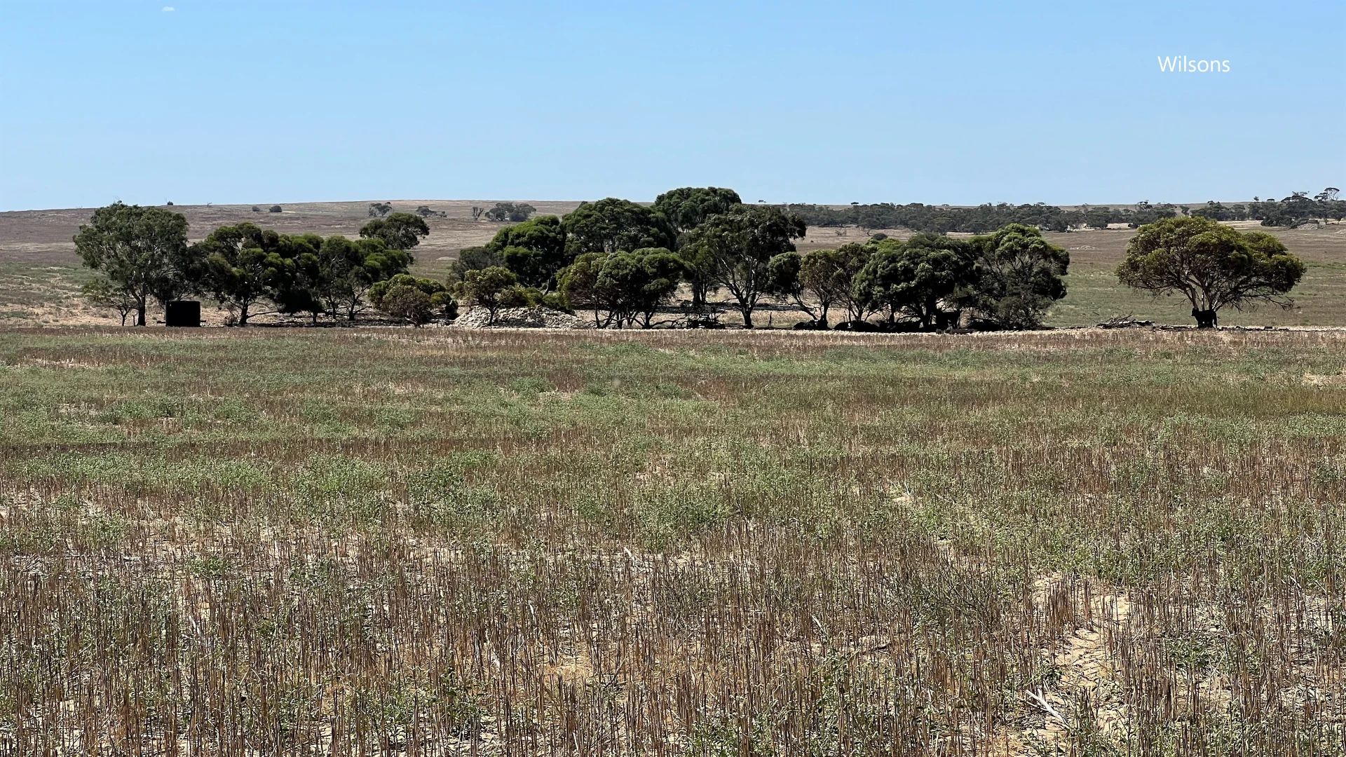 Additional image 10 of 256 Blacket Road, Wynarka SA 5306