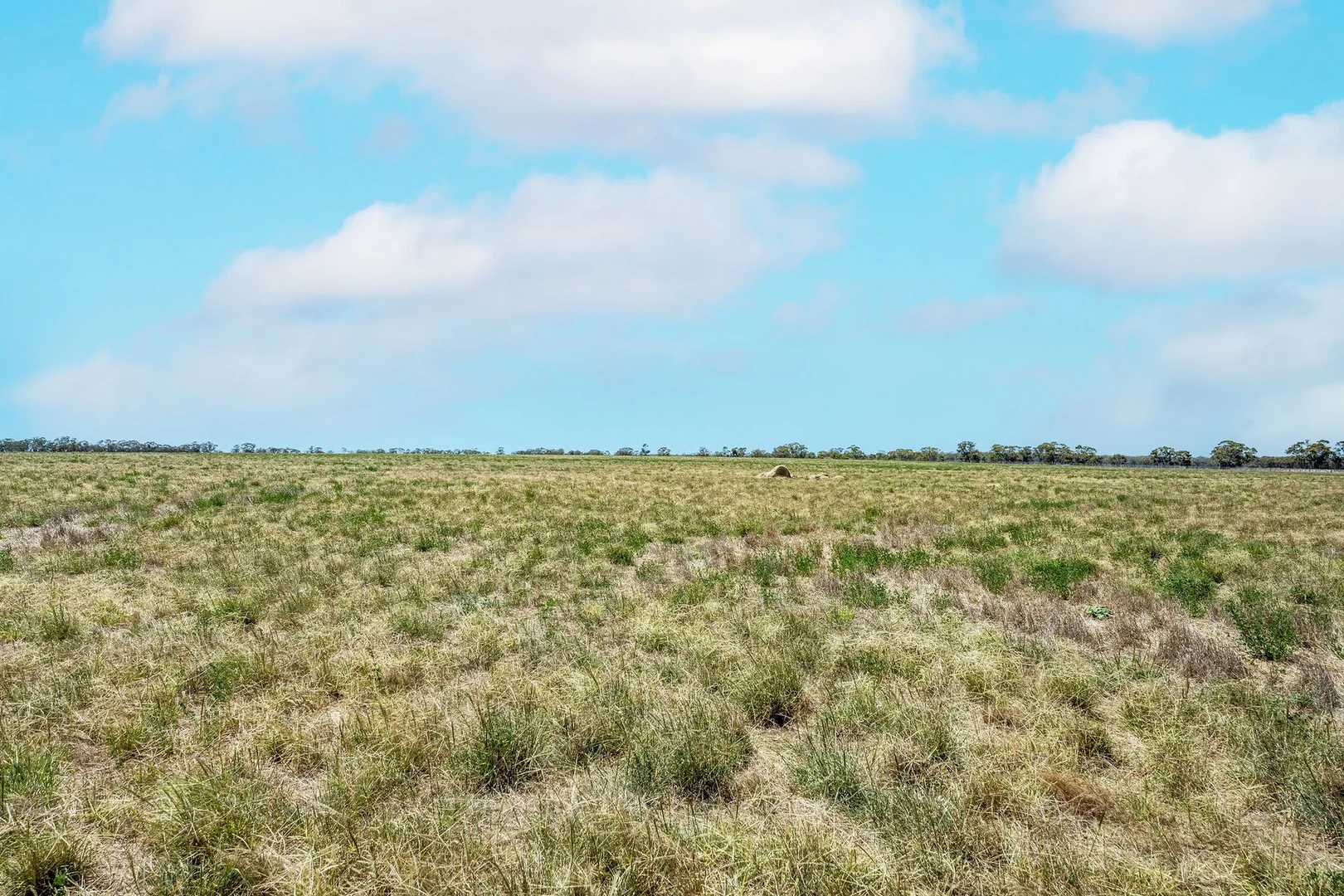 Additional image 5 of CA 45 Hartney Road, Kamarooka VIC 3570