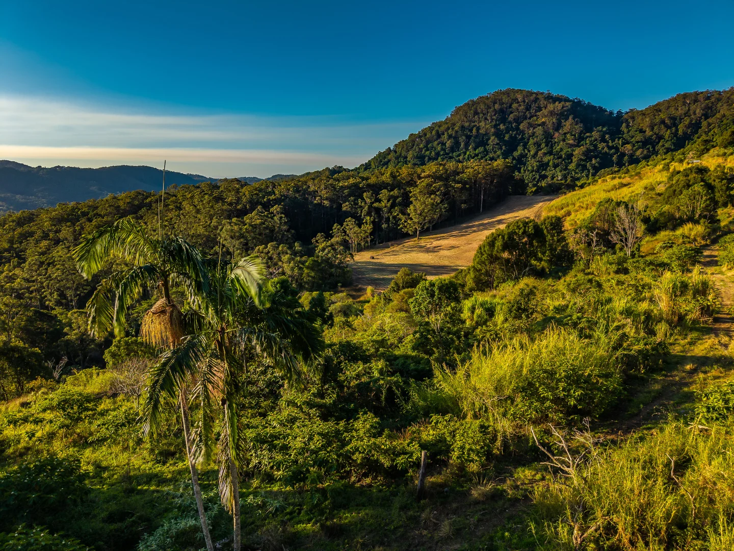 Additional image 4 of 193 Petsch Creek Road, Tallebudgera Valley QLD 4228