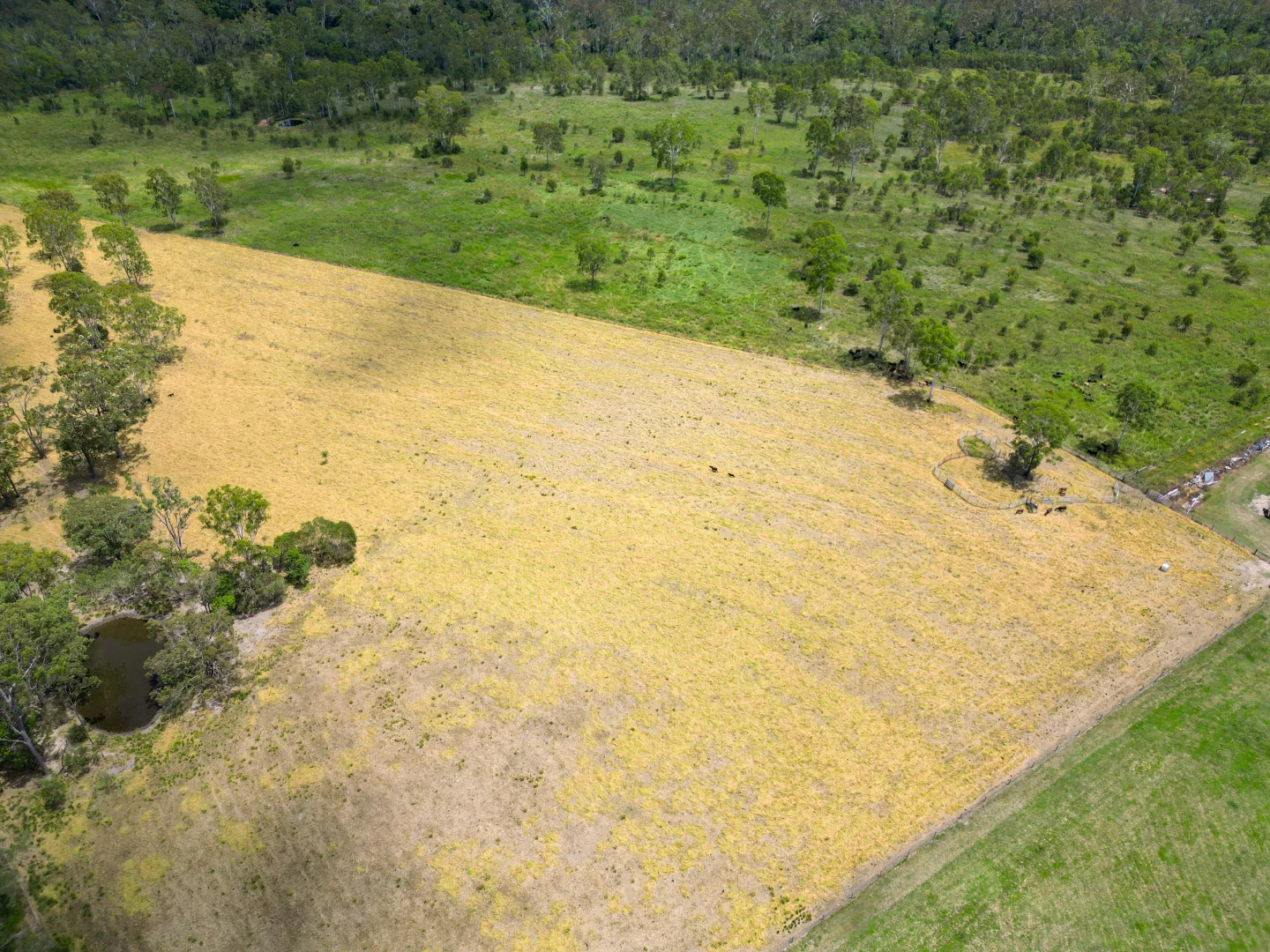 Additional image 6 of 594 Promisedland Road, Promisedland QLD 4660