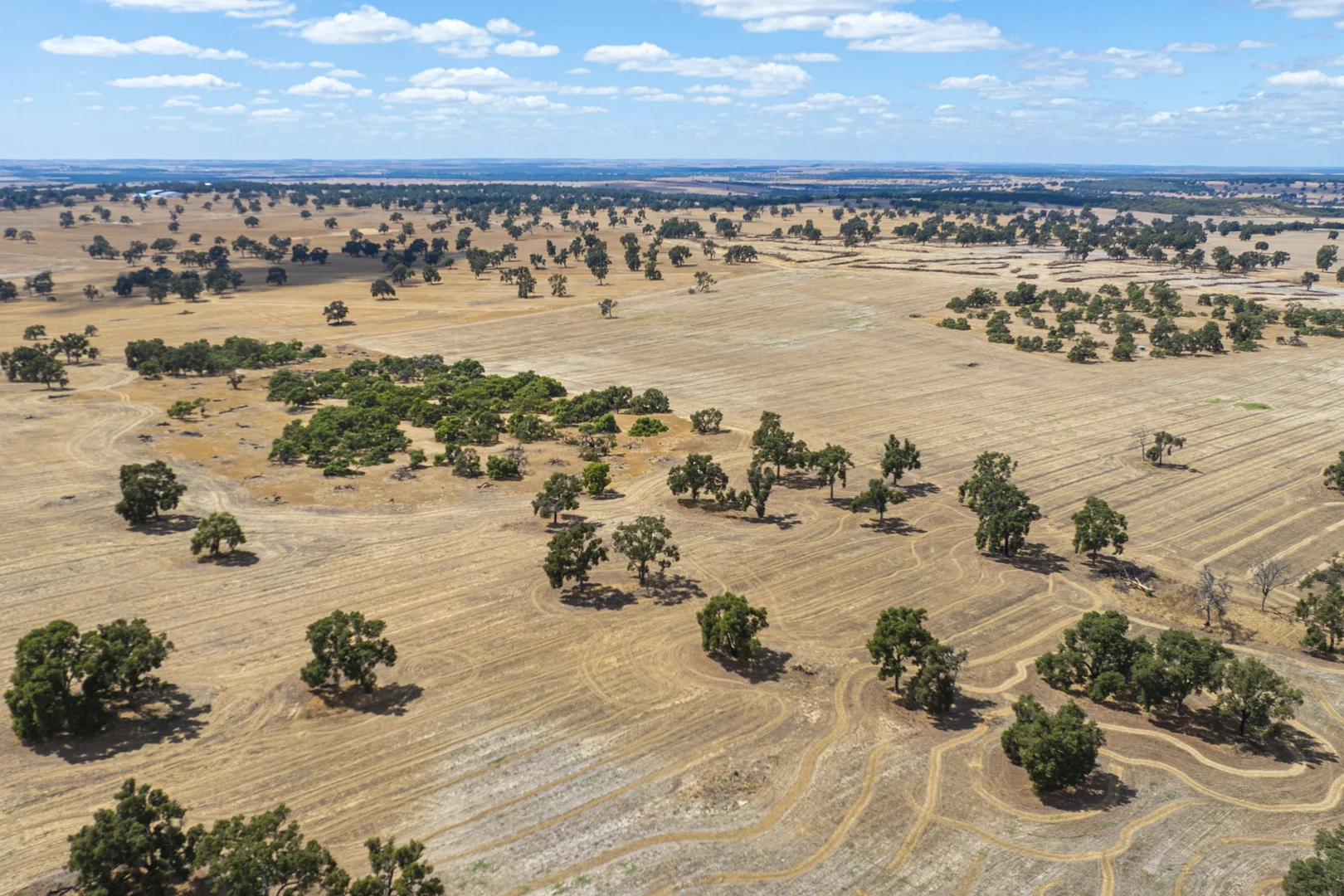 Additional image 29 of 1830 Rowes Road, Dandaragan WA 6507